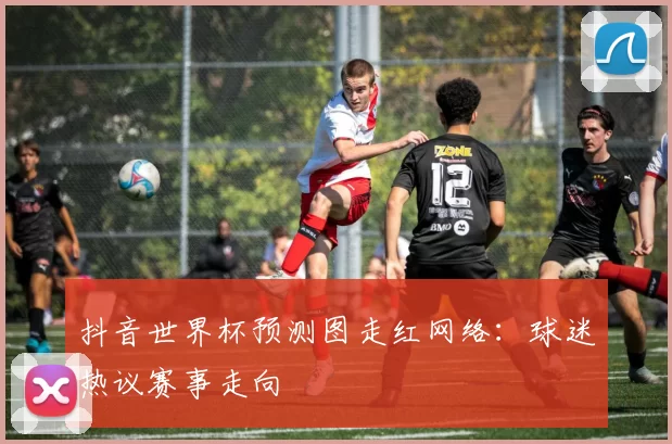 抖音世界杯预测图走红网络:球迷热议赛事走向