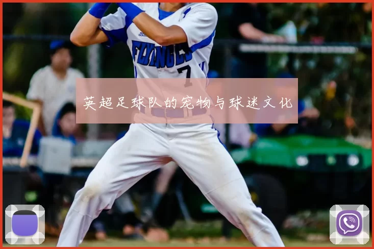 英超足球队的宠物与球迷文化