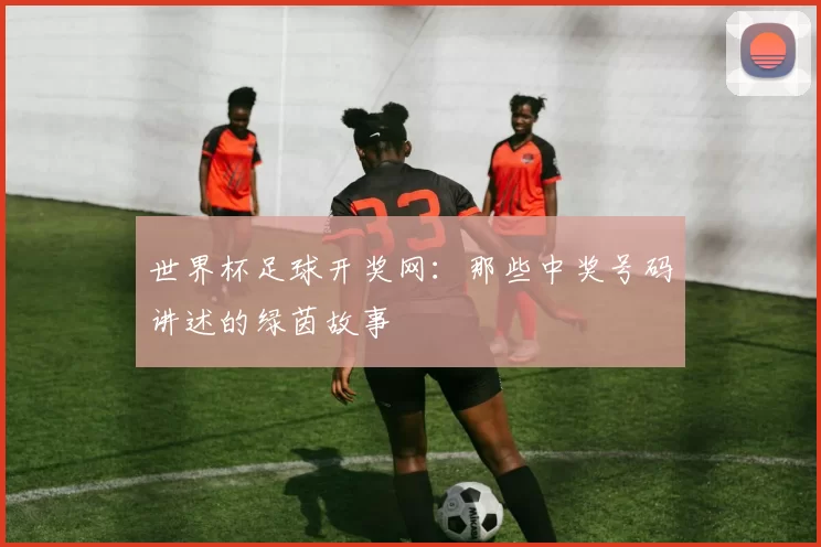 世界杯足球开奖网:那些中奖号码讲述的绿茵故事