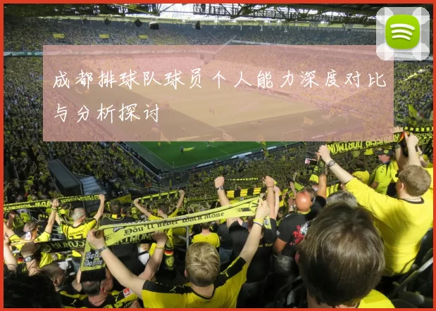 成都排球队球员个人能力深度对比与分析探讨