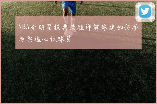 NBA全明星投票流程详解球迷如何参与票选心仪球员