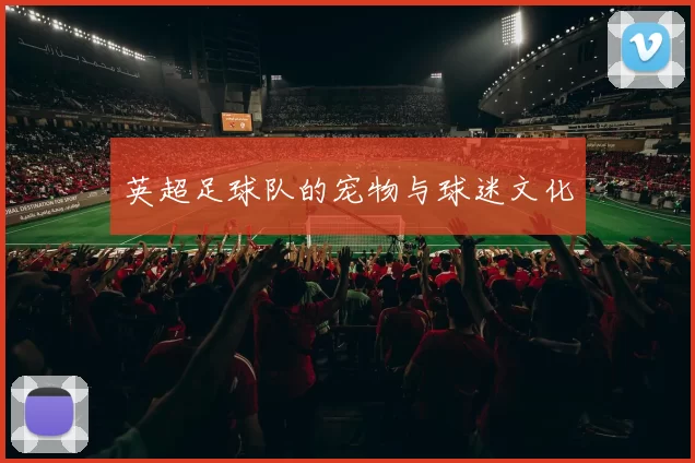 英超足球队的宠物与球迷文化