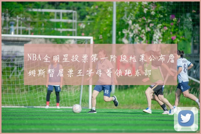 NBA全明星投票第一阶段结果公布詹姆斯暂居票王字母哥领跑东部