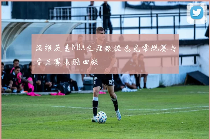 诺维茨基NBA生涯数据总览常规赛与季后赛表现回顾