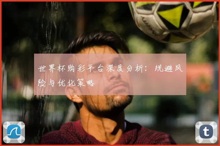 世界杯购彩平台深度分析：规避风险与优化策略