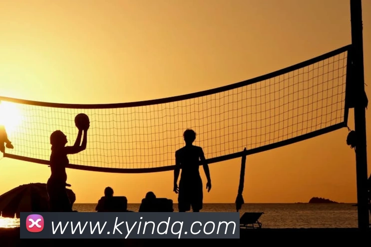 App Interface Preview