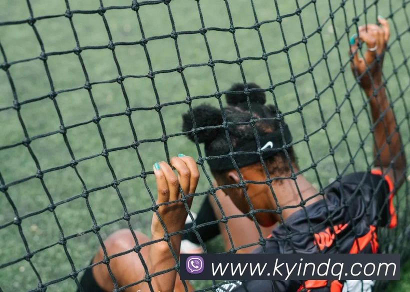 pp电子APP 封面图